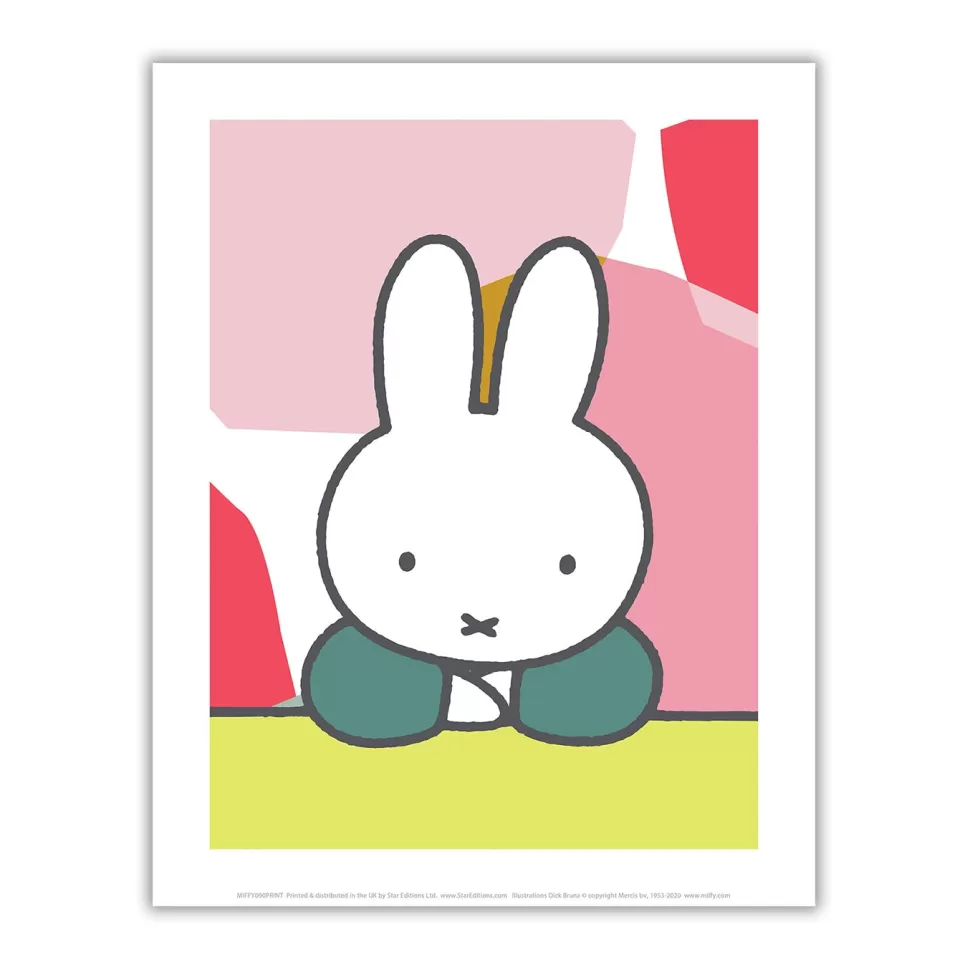 Sale Miffy Floral Expression Pose Mini Poster