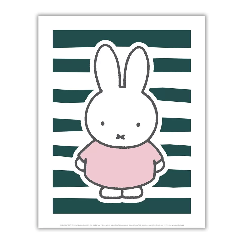 New Miffy Floral Expression Stripes Mini Poster